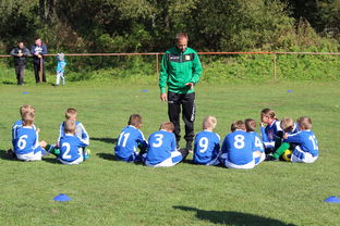 mk体育全站-中国足球年度战术视频分析内容频次统计，中国足球战术风格